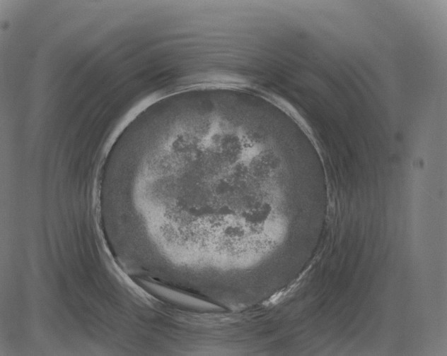 X0000082681243200702091624