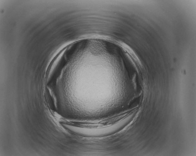 X0000082681244200702091624