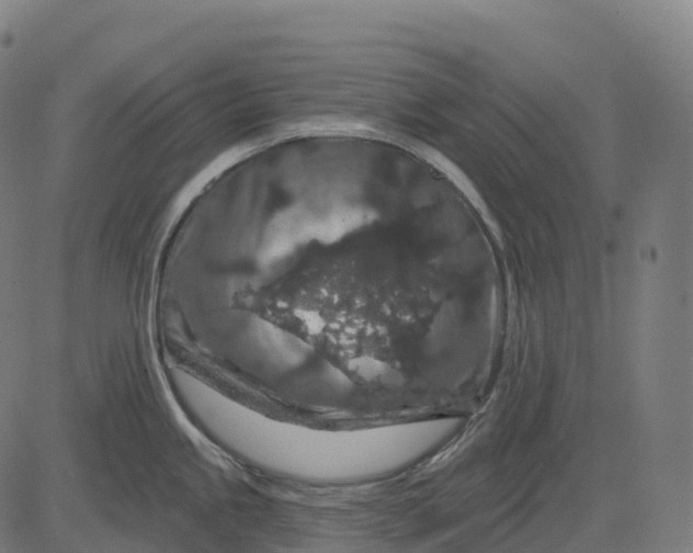 X0000082681245200702091624