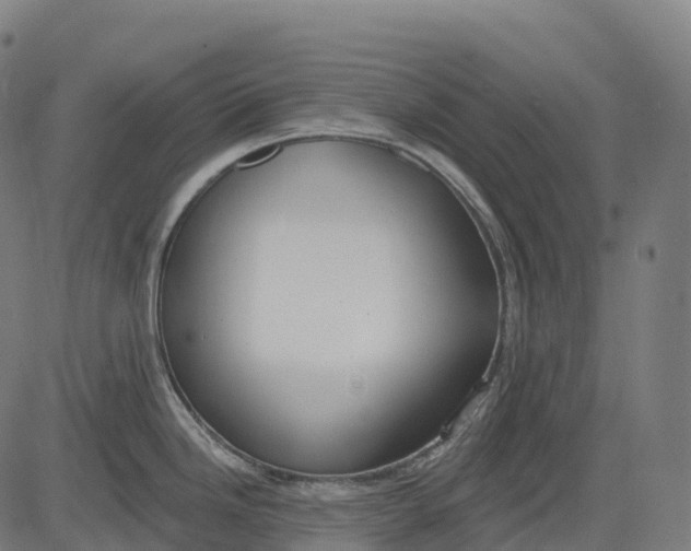 X0000082681246200702091624