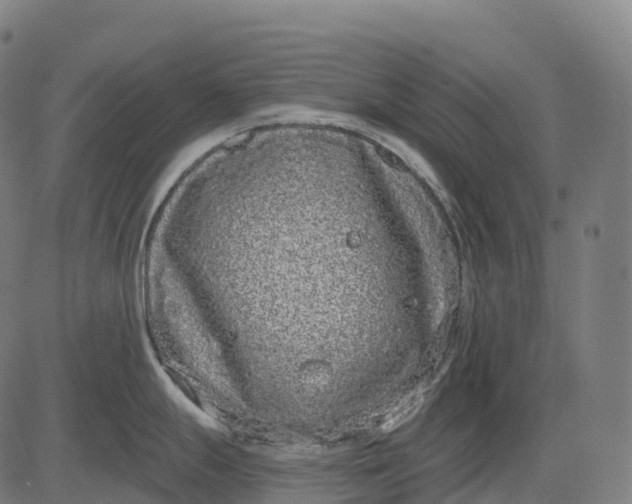 X0000082681247200702091624