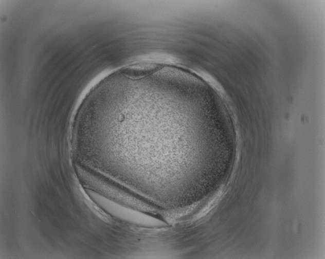 X0000082681248200702091624