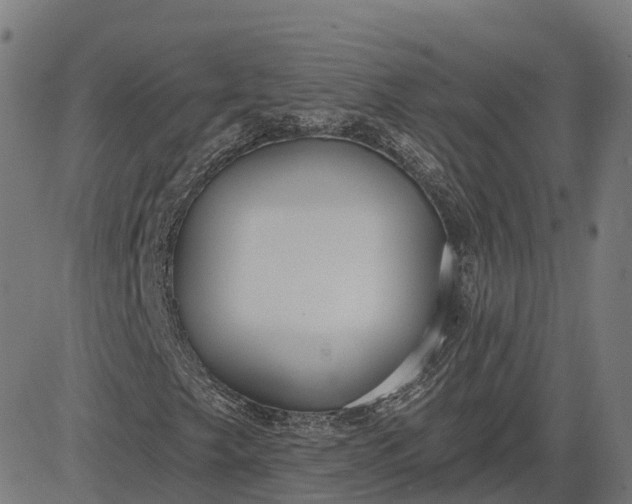 X0000082681249200702091623