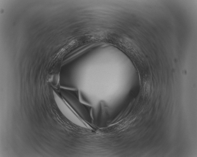 X0000082681250200702091623