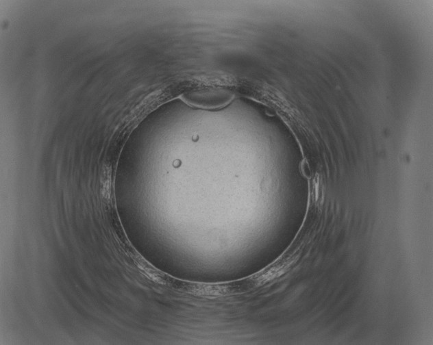 X0000082681251200702091623