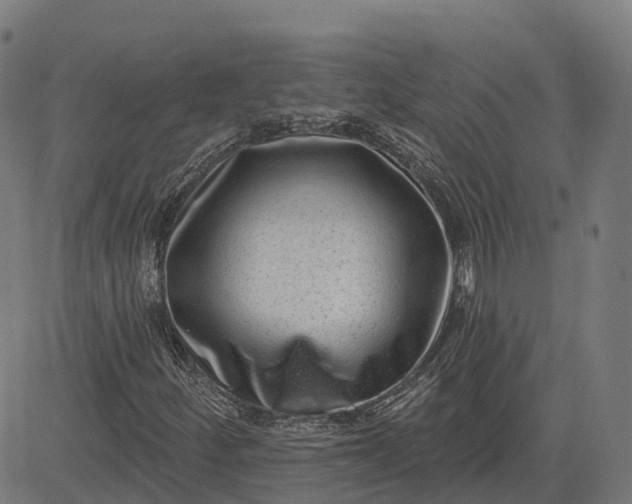 X0000082681252200702091623