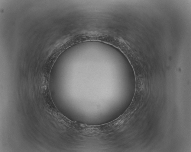 X0000082681253200702091623