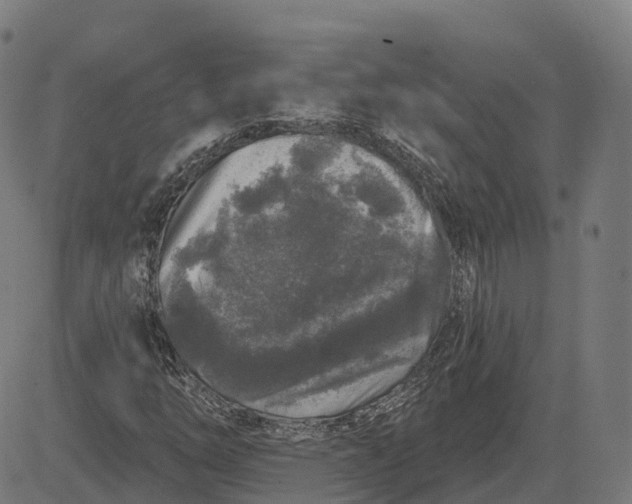 X0000082681254200702091623