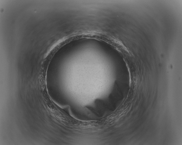 X0000082681256200702091623