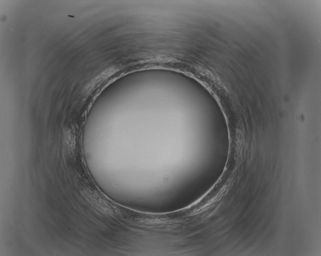 X0000082681257200702091623