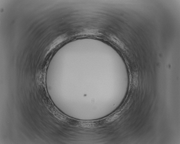 X0000082681258200702091623