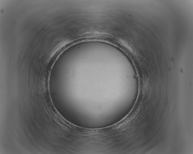 X0000082681259200702091623