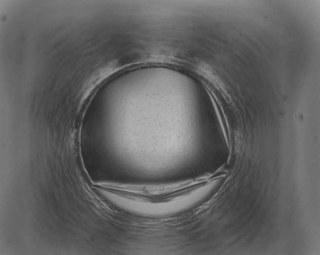 X0000082681260200702091623