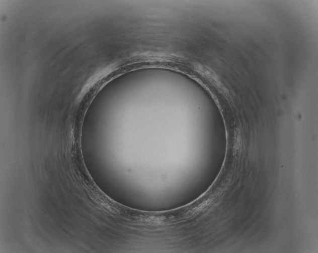 X0000082681261200702091623