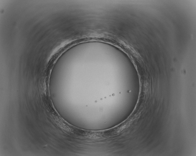 X0000082681262200702091623