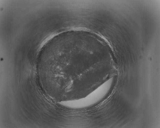 X0000082681263200702091623