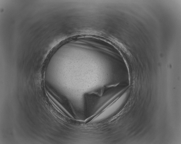 X0000082681264200702091623