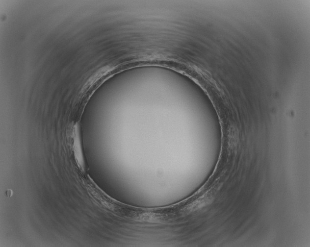 X0000082681265200702091623