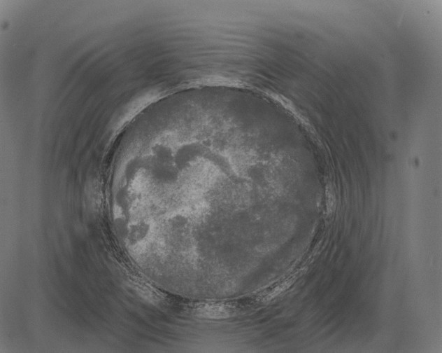 X0000082681266200702091623