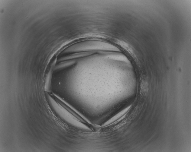 X0000082681268200702091623