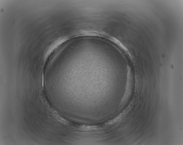 X0000082681269200702091623