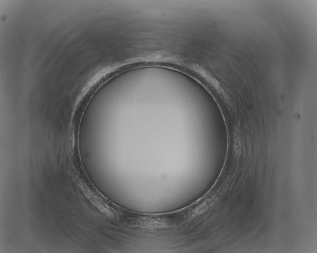 X0000082681270200702091623