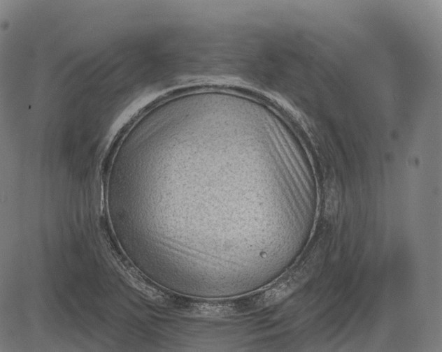 X0000082681271200702091623