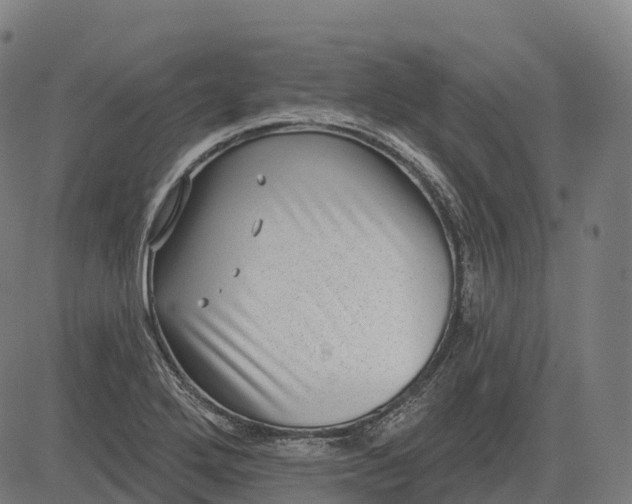 X0000082681272200702091623