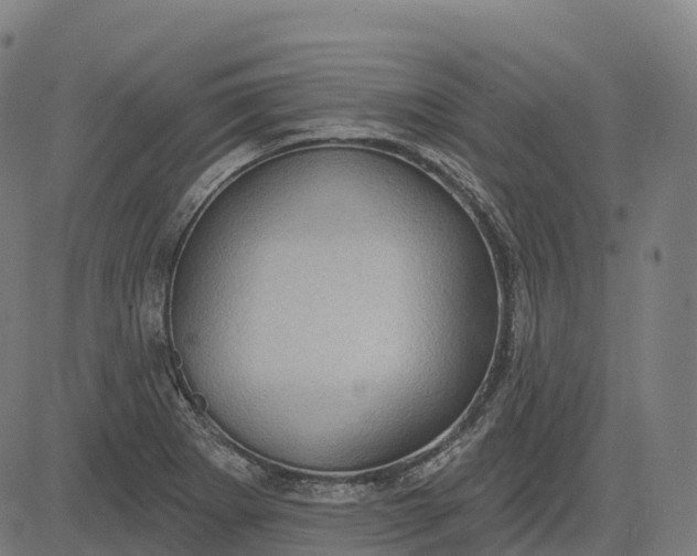 X0000082681273200702091623