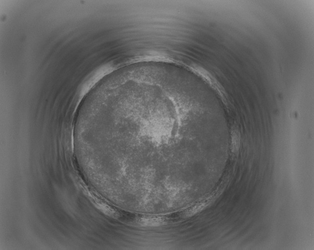 X0000082681274200702091623