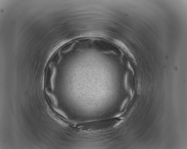 X0000082681276200702091623