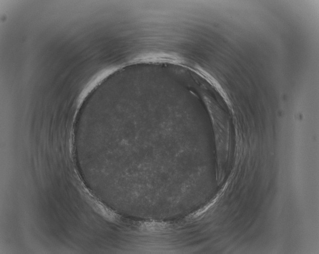 X0000082681277200702091623