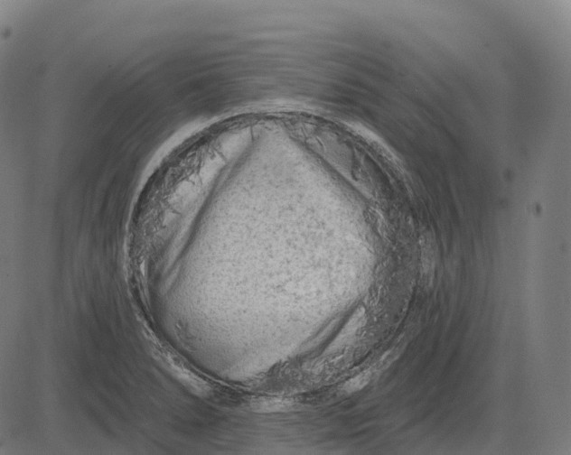 X0000082681278200702091623