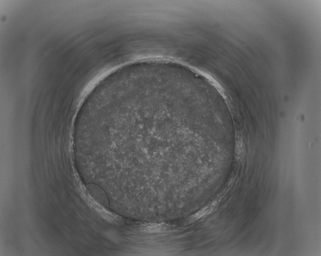 X0000082681279200702091623