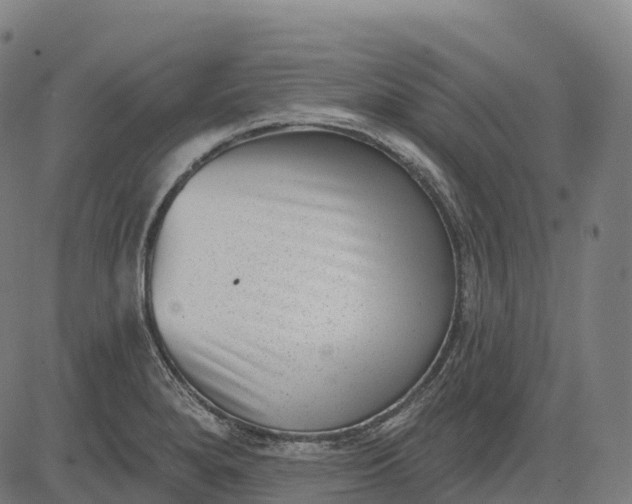 X0000082681280200702091623