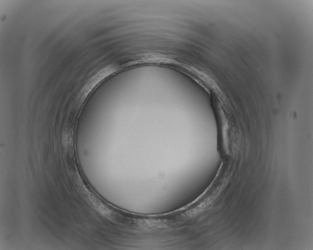 X0000082681281200702091623