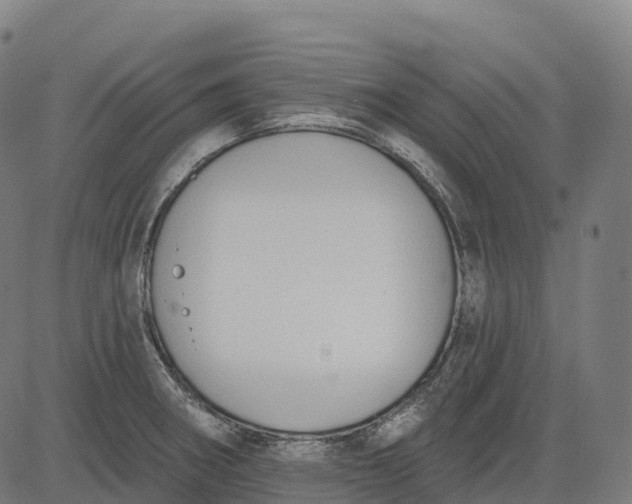 X0000082681282200702091623