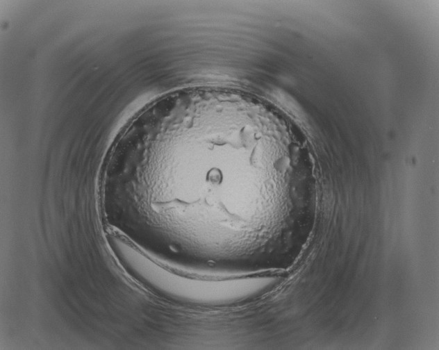 X0000082681283200702091623