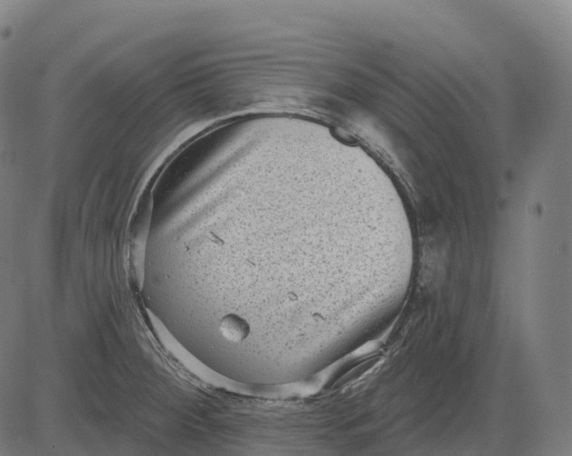 X0000082681284200702091623