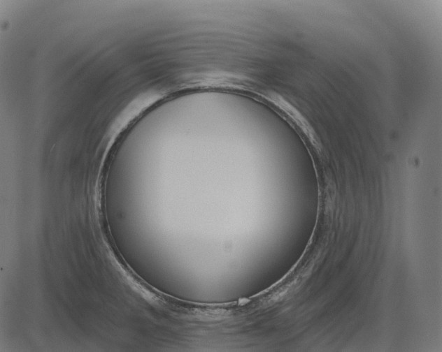 X0000082681285200702091623