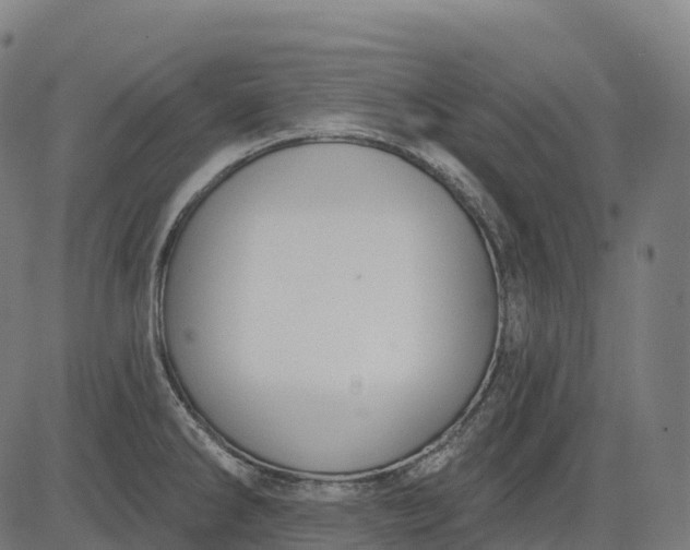 X0000082681286200702091623