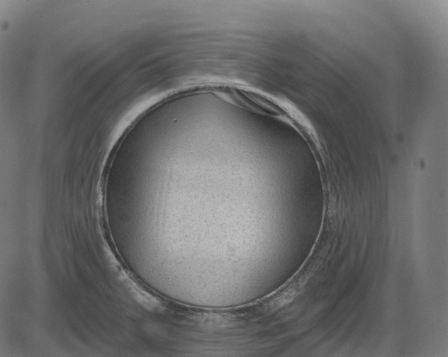 X0000082681287200702091623