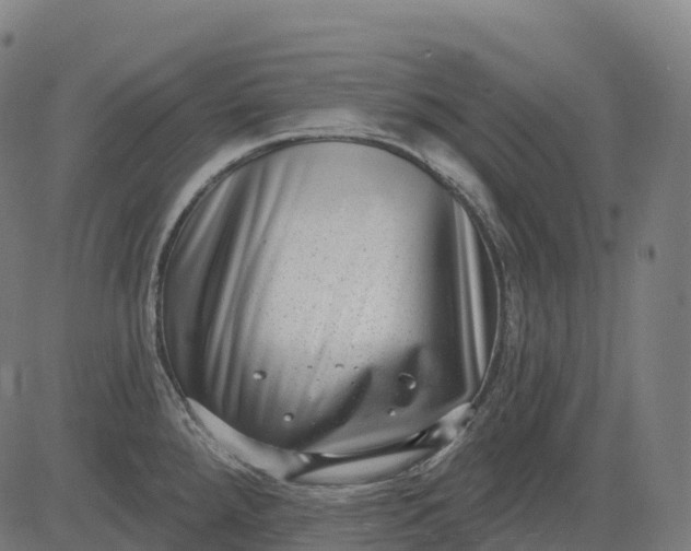 X0000082681288200702091623