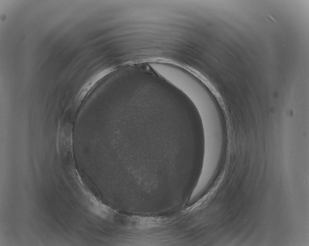 X0000082681289200702091623