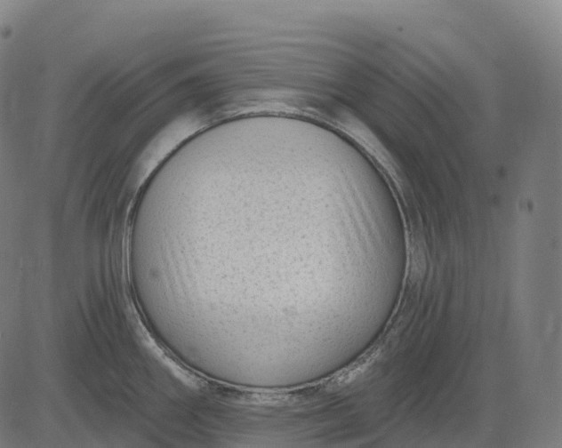 X0000082681290200702091623