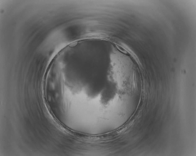 X0000082681291200702091623