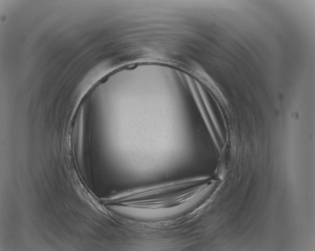 X0000082681292200702091623