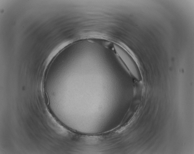 X0000082681293200702091623