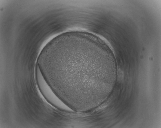 X0000082681295200702091623