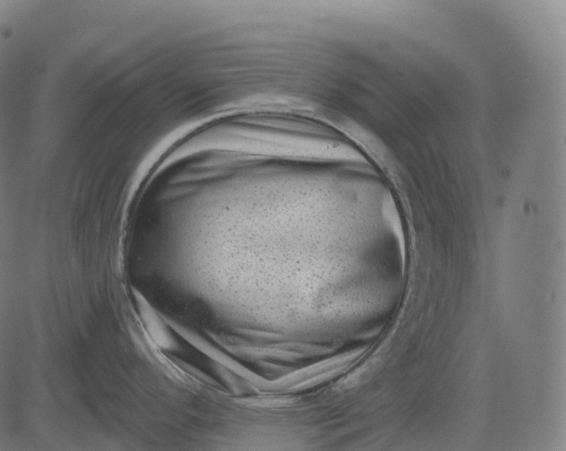 X0000082681296200702091623